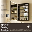 Fenice 20