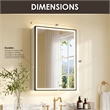 Fenice 20