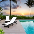 Venice Black HDPE Chaise Lounge-Set of 2