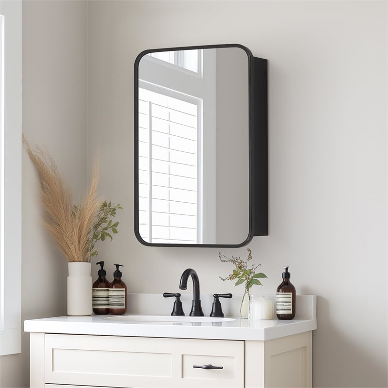 Talayuela 16 in.W x 24 in.H Aluminum Framed Medicine Cabinet in Brushed Black
