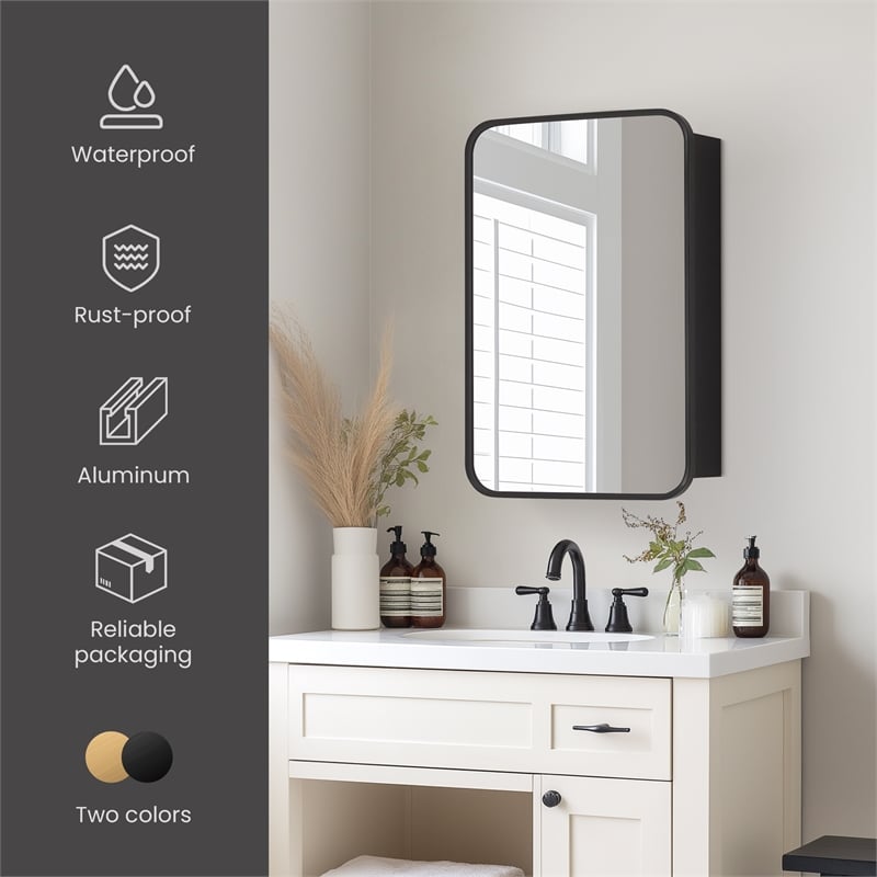 Talayuela 16 in.W x 24 in.H Aluminum Framed Medicine Cabinet in Brushed Black