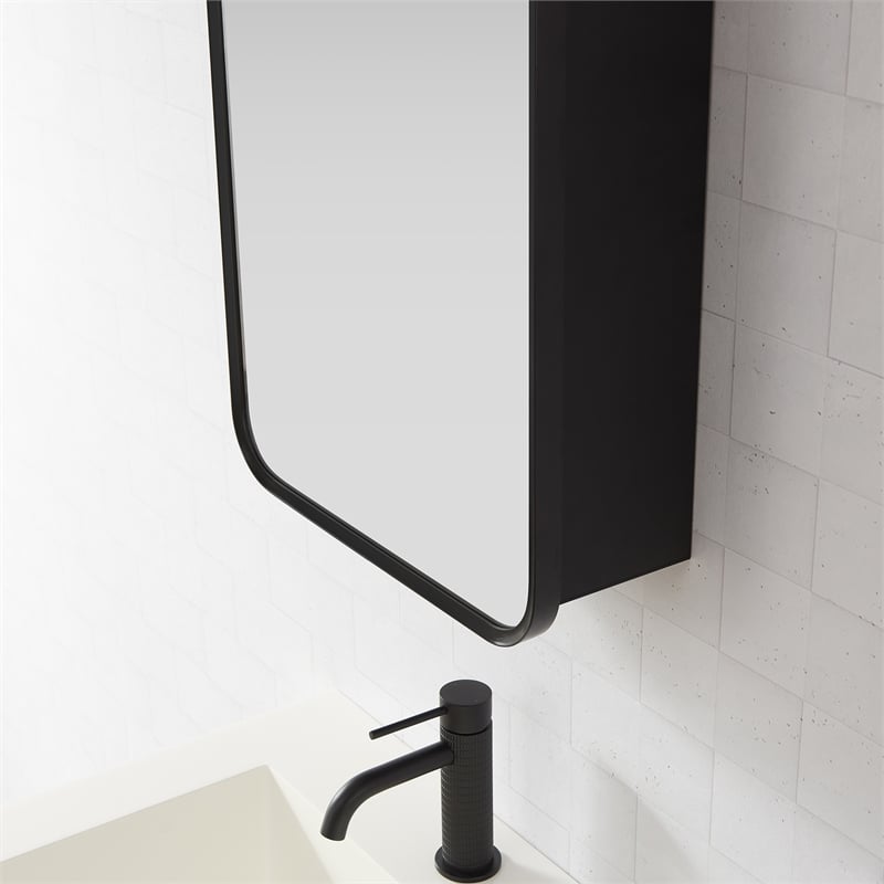 Talayuela 16 in.W x 24 in.H Aluminum Framed Medicine Cabinet in Brushed Black