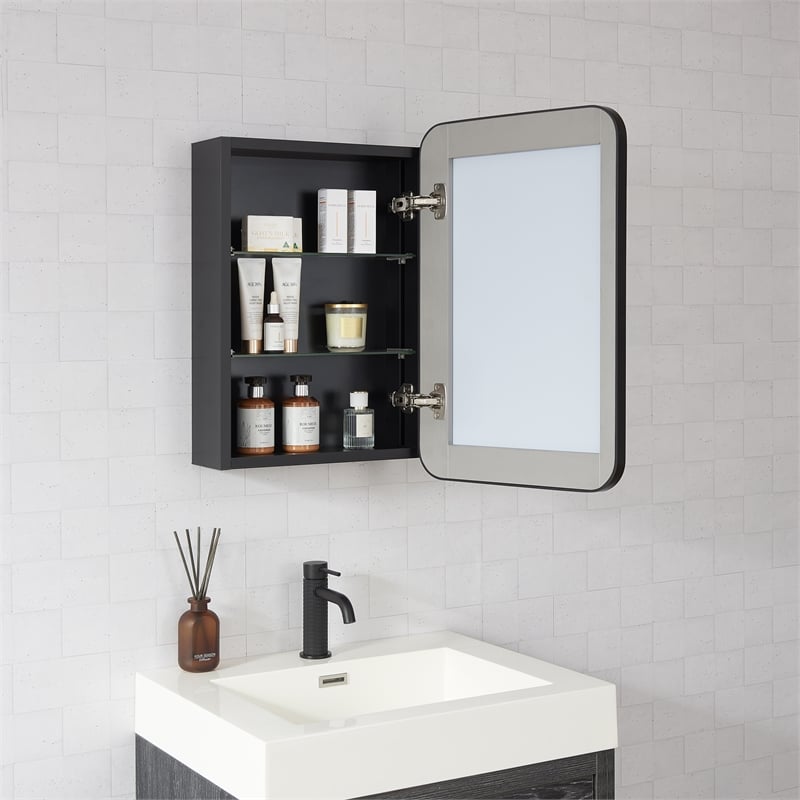 Talayuela 16 in.W x 24 in.H Aluminum Framed Medicine Cabinet in Brushed Black