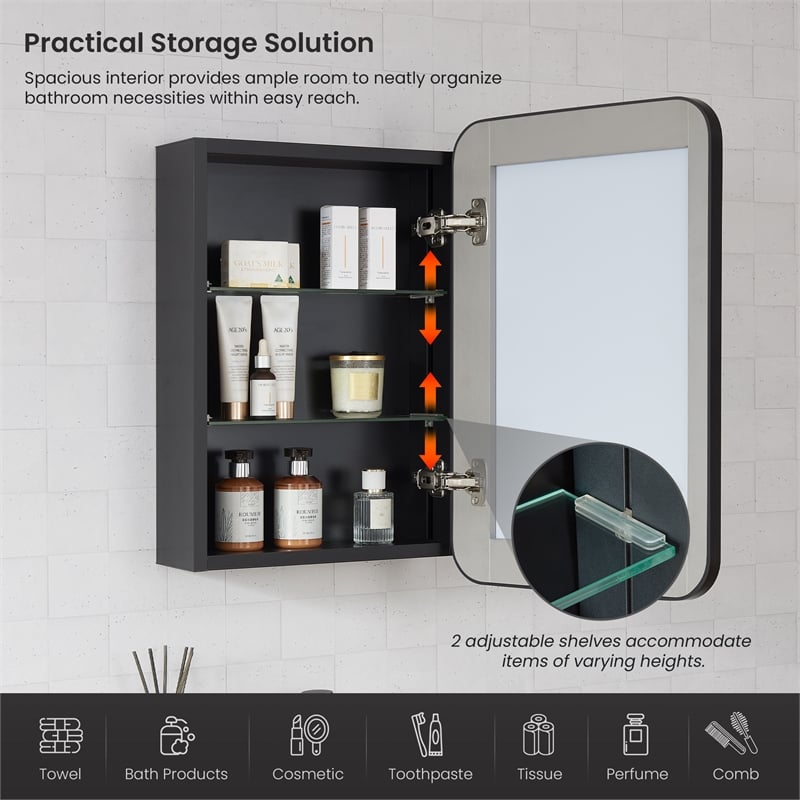 Talayuela 16 in.W x 24 in.H Aluminum Framed Medicine Cabinet in Brushed Black