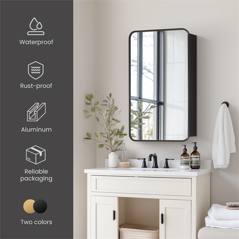 Talayuela 20 in.W x 32 in.H Aluminum Framed Medicine Cabinet in Brushed Black