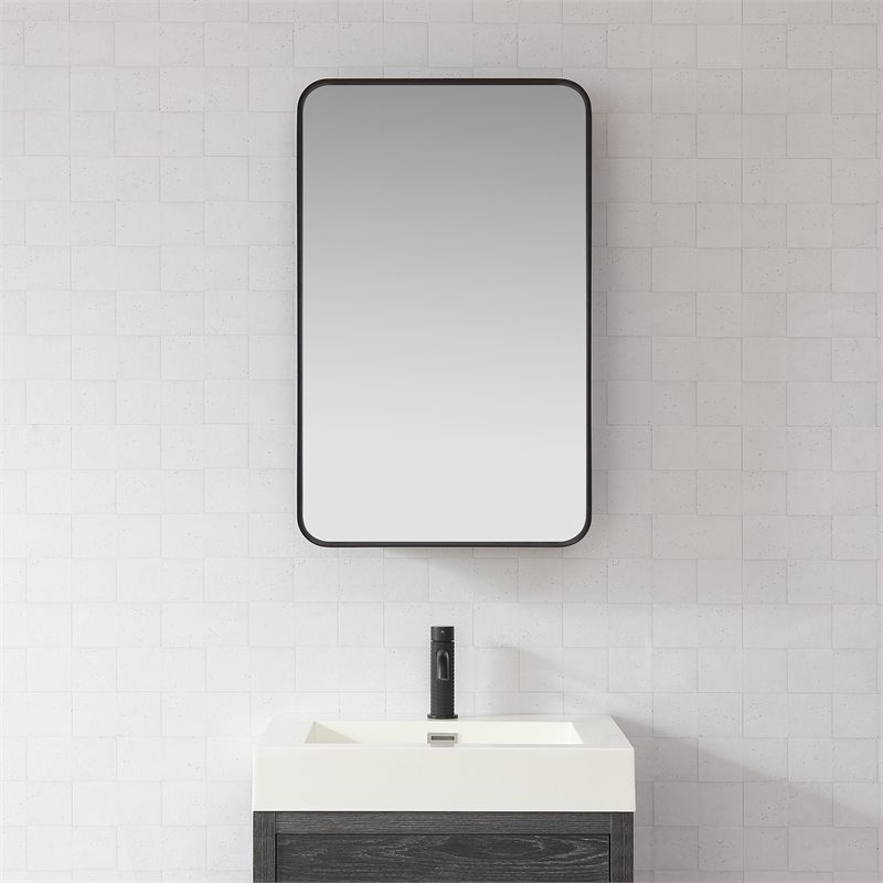 Talayuela 20 in.W x 32 in.H Aluminum Framed Medicine Cabinet in Brushed Black