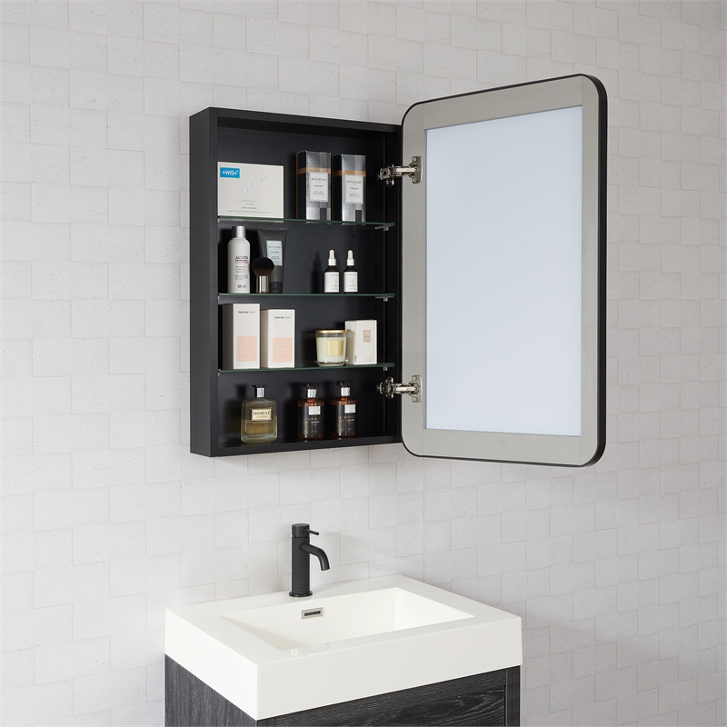 Talayuela 20 in.W x 32 in.H Aluminum Framed Medicine Cabinet in Brushed Black
