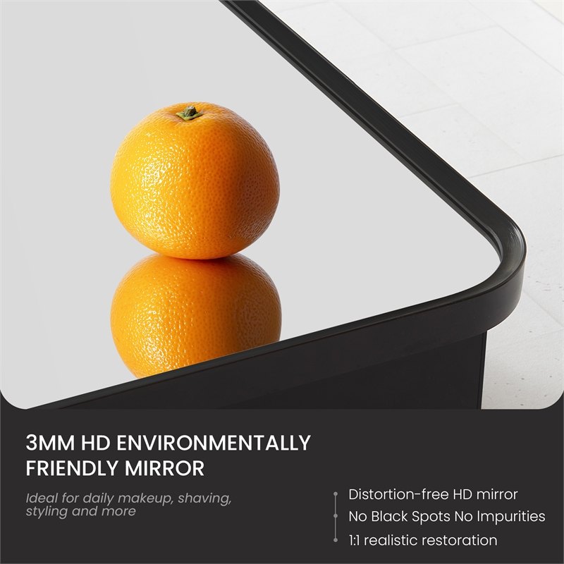 Talayuela 20 in.W x 32 in.H Aluminum Framed Medicine Cabinet in Brushed Black