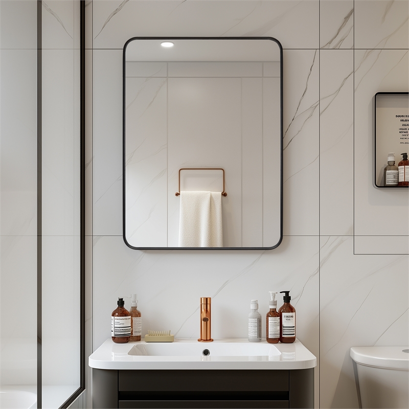 Talayuela 24 in.W x 32 in.H Aluminum Framed Medicine Cabinet in Brushed Black