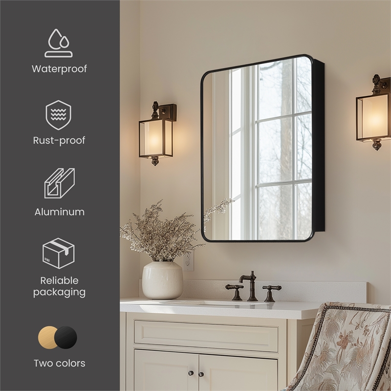 Talayuela 24 in.W x 32 in.H Aluminum Framed Medicine Cabinet in Brushed Black