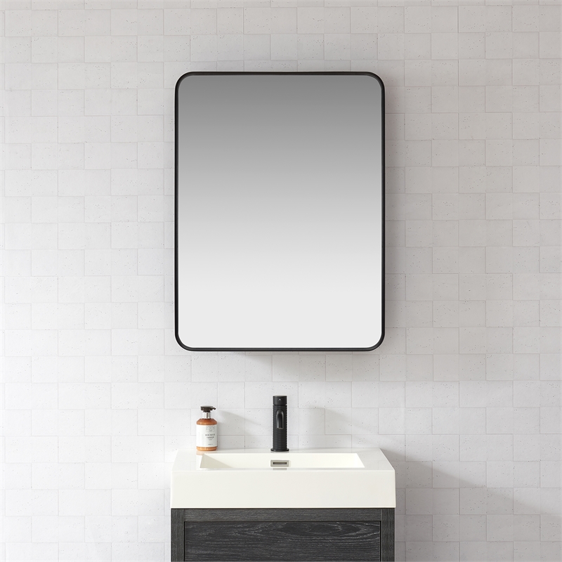 Talayuela 24 in.W x 32 in.H Aluminum Framed Medicine Cabinet in Brushed Black