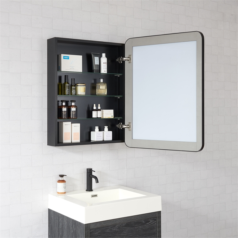 Talayuela 24 in.W x 32 in.H Aluminum Framed Medicine Cabinet in Brushed Black