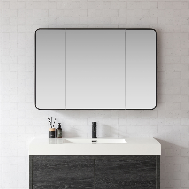 Talayuela 48 in.W x 32 in.H Aluminum Framed Medicine Cabinet in Brushed Black