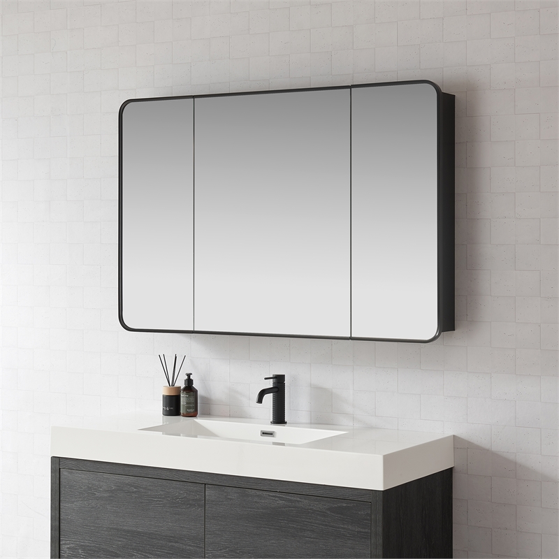 Talayuela 48 in.W x 32 in.H Aluminum Framed Medicine Cabinet in Brushed Black