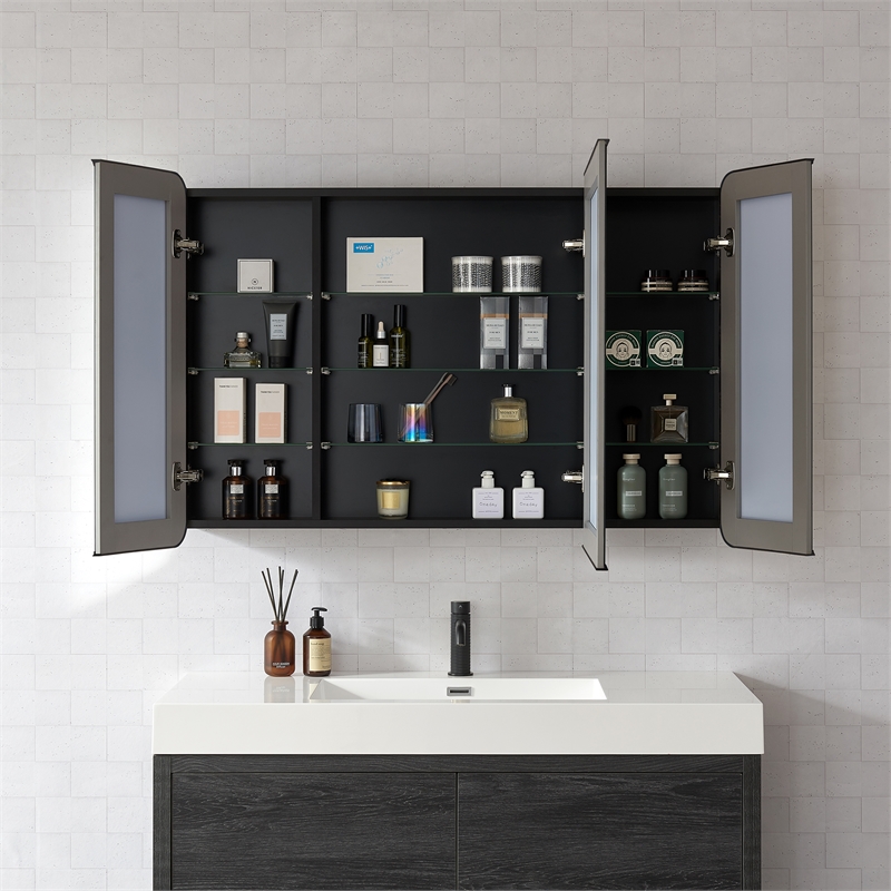 Talayuela 48 in.W x 32 in.H Aluminum Framed Medicine Cabinet in Brushed Black