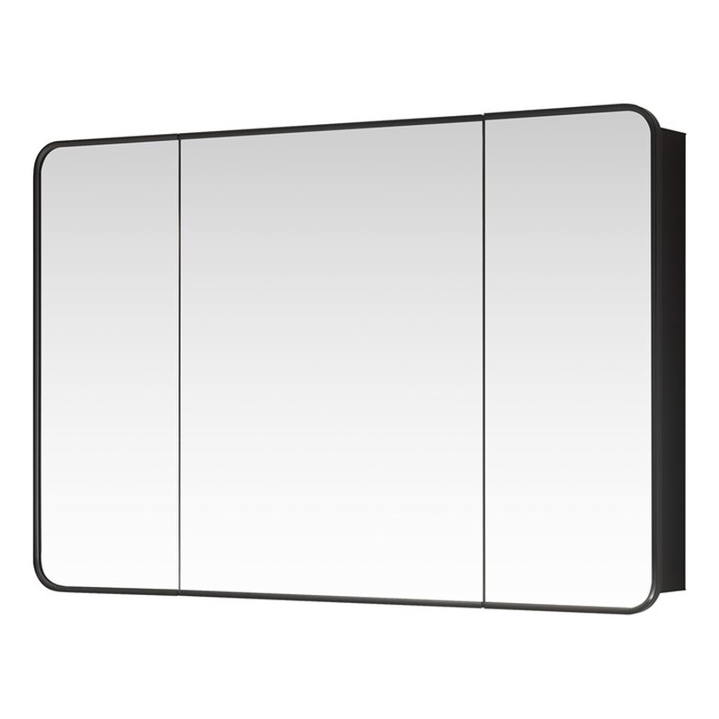 Talayuela 48 in.W x 32 in.H Aluminum Framed Medicine Cabinet in Brushed Black