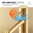 Vinnova Mexico Single High-Handle Hole Lever Vessel Brushed Gold Bathroom Faucet