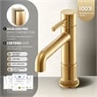 Vinnova Mexico Single High-Handle Hole Lever Vessel Brushed Gold Bathroom Faucet