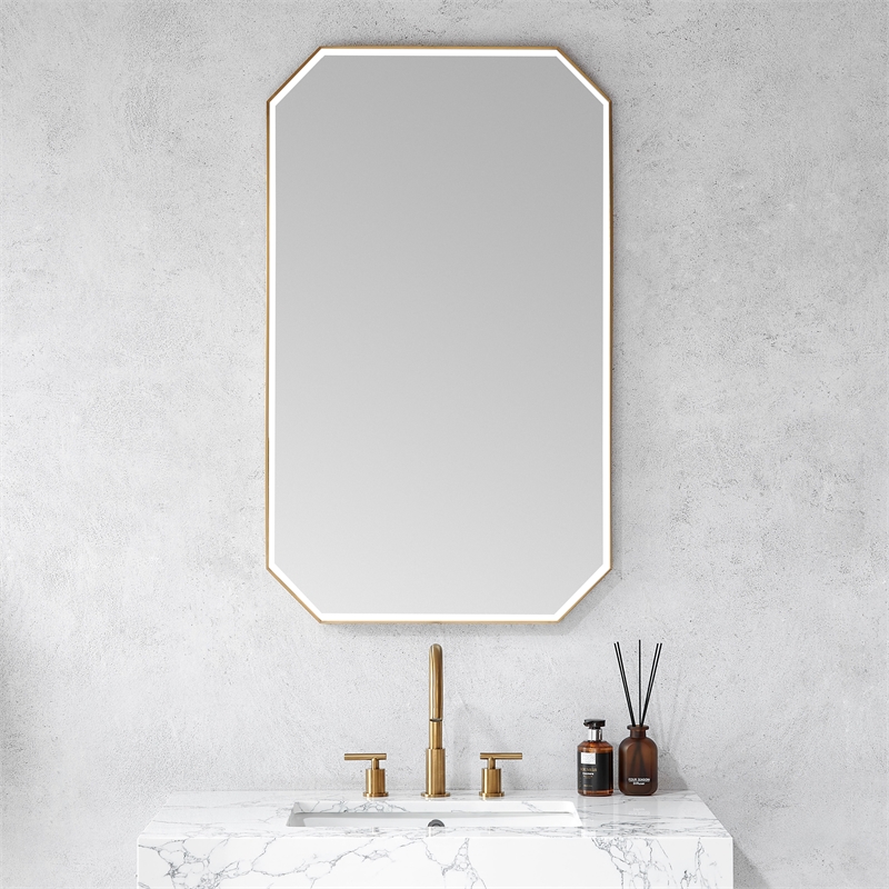Sabadell 24 in. W x 40 in. H Octagon Metal Framed Wall Mirror in Brushed Gold
