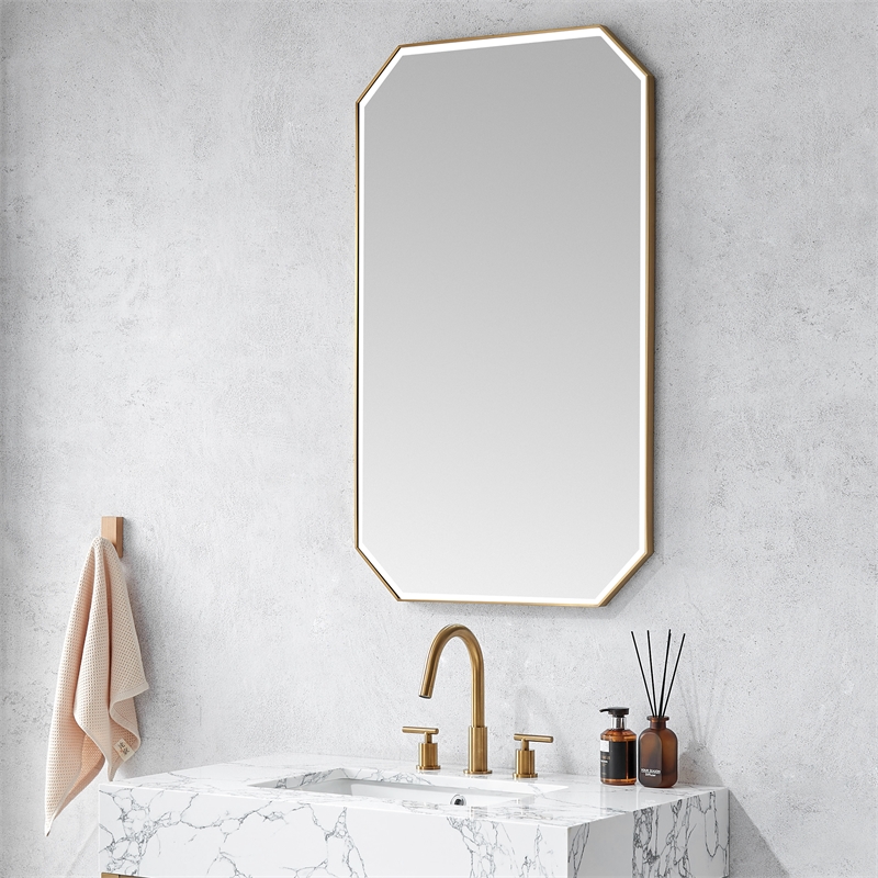 Sabadell 24 in. W x 40 in. H Octagon Metal Framed Wall Mirror in Brushed Gold