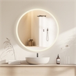Moscow 36 in. W x 36 in. H Circular Aluminum Frameless LED Bathroom Mirror