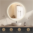 Moscow 36 in. W x 36 in. H Circular Aluminum Frameless LED Bathroom Mirror