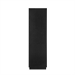 Santarem 21.7in. Solid Wood Storage Cabinet in Oak Weathered Black