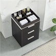 Santarem 24in. Oak Weathered Black Solid Wood Storage Cabinet