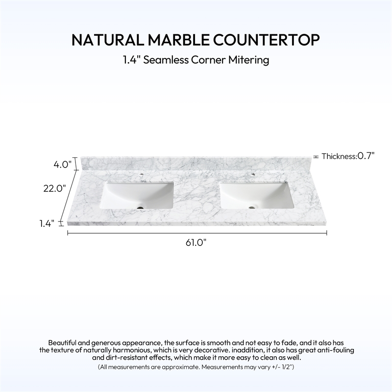 Zevio 61