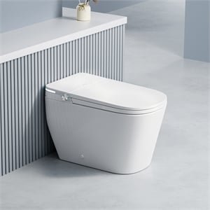 Yecla Smart Bidet Toilet with Heated Seat/ Dryer & Foot/Remote Flush