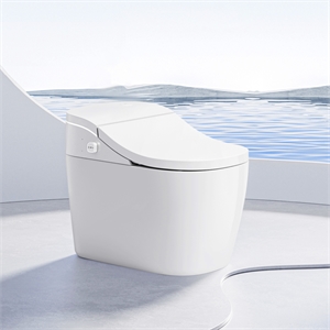 Vittuone Elongated Smart Bidet Toilet with Uv Sterilization/Aroma Diffuser
