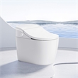 Vittuone Elongated Smart Bidet Toilet with Uv Sterilization/Aroma Diffuser