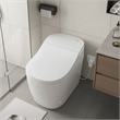Vittuone Elongated Smart Bidet Toilet with Uv Sterilization/Aroma Diffuser