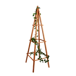 Trellises 