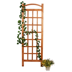 Trellises 
