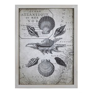 stratton home decor vintage shells on map wood framed wall art in gray