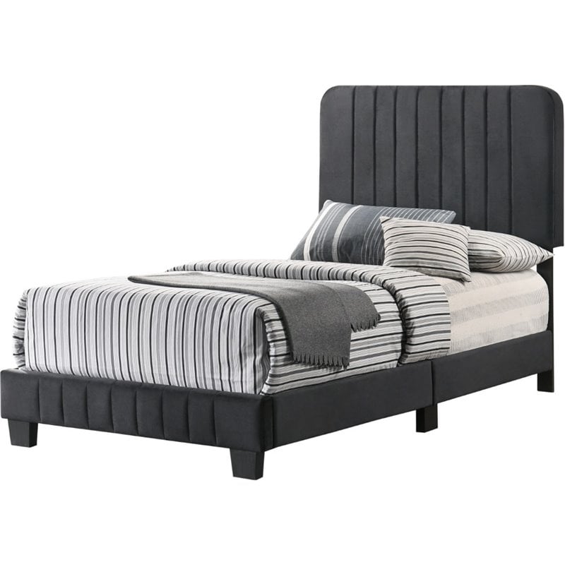 Glory Furniture Lodi Velvet Upholstered Twin Bed in Black