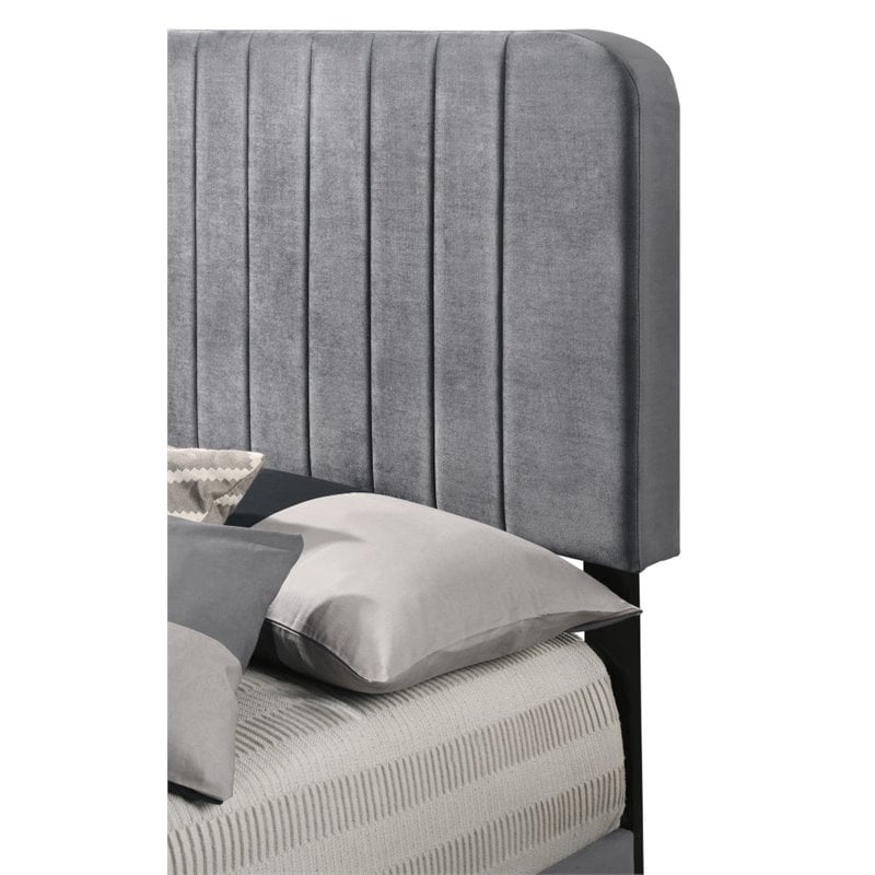 Glory Furniture Lodi Velvet Upholstered Twin Bed in Gray