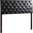 Glory Furniture Super Nova Faux Leather Upholstered Queen Headboard in Black