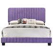 Glory Furniture Lodi Velvet Upholstered Queen Bed in Purple