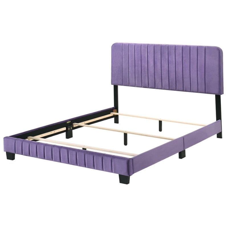 Glory Furniture Lodi Velvet Upholstered Queen Bed in Purple