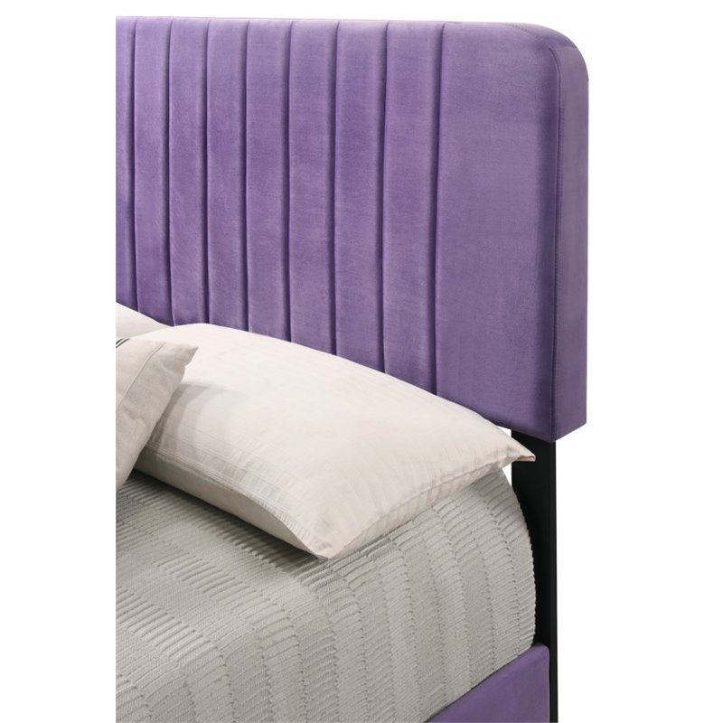 Glory Furniture Lodi Velvet Upholstered Queen Bed in Purple