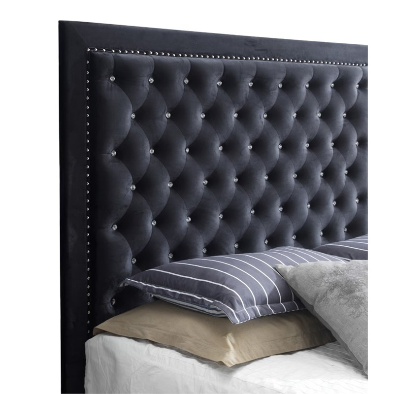 Glory Furniture Alba Velvet Upholstered King Bed in Black