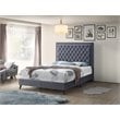 Glory Furniture Alba Velvet Upholstered Queen Bed in Gray