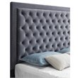 Glory Furniture Alba Velvet Upholstered Queen Bed in Gray