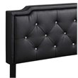 Glory Furniture Deb Velvet Upholstered Twin Bed in Black