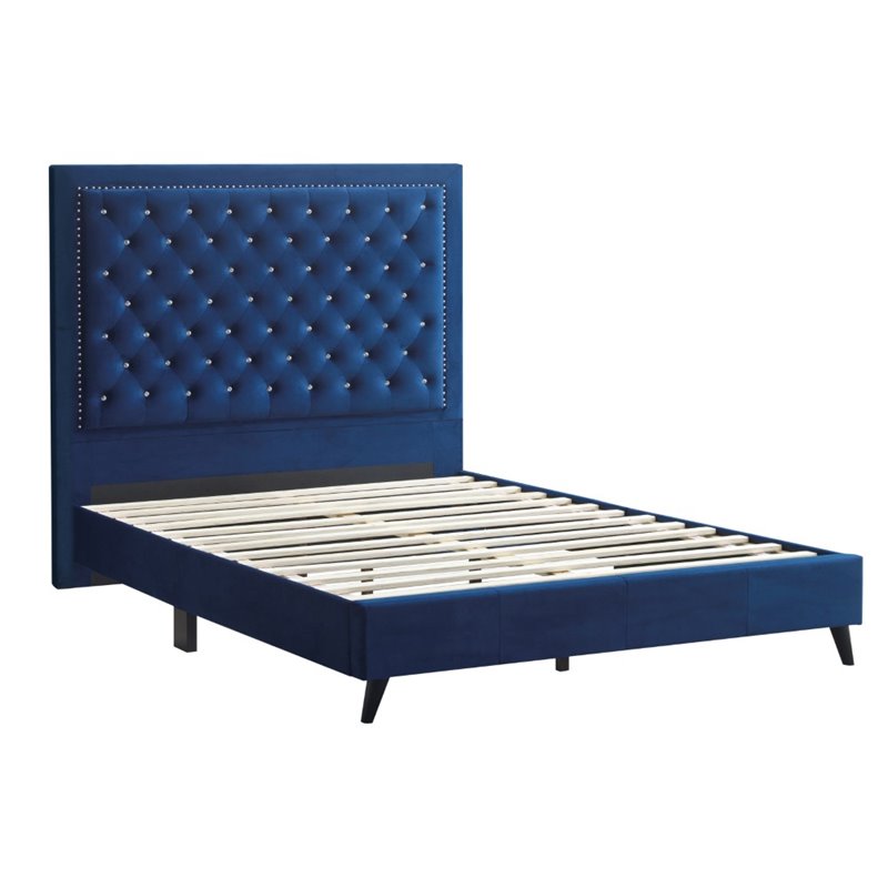 Glory Furniture Alba Velvet Upholstered King Bed in Navy Blue