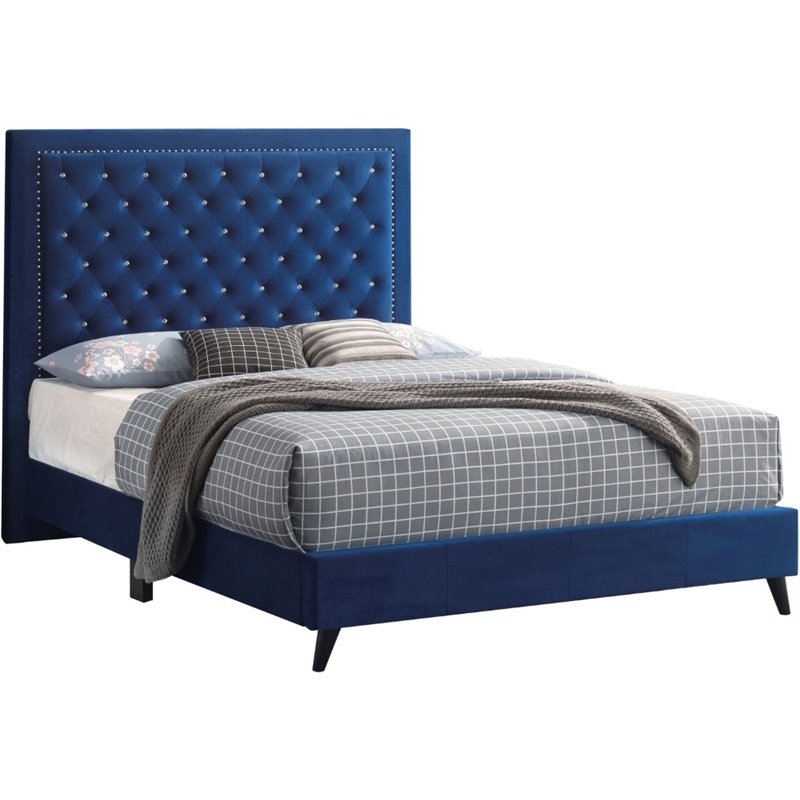 Glory Furniture Alba Velvet Upholstered King Bed in Navy Blue