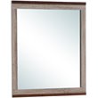 Glory Furniture Magnolia Wood Veneer Bedroom Mirror in Gray and Brown