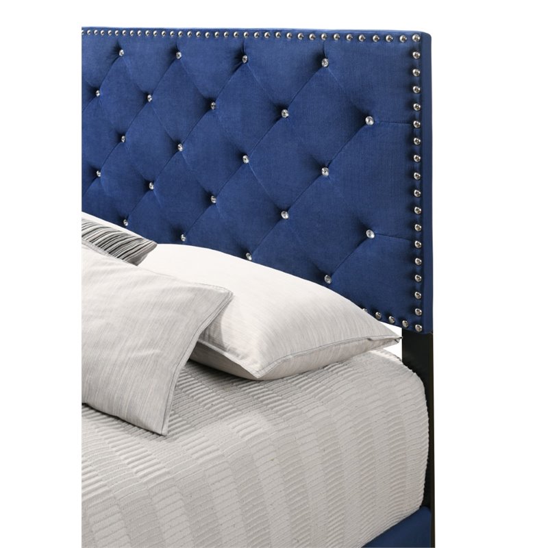 Glory Furniture Suffolk Velvet Upholstered Queen Bed in Navy Blue
